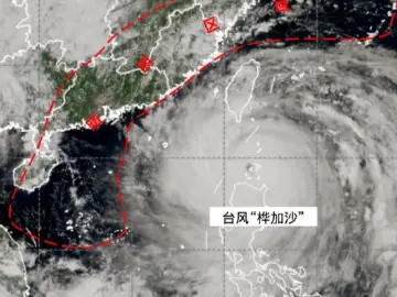 读特热评|面对“桦加沙”不可大意,也别慌神