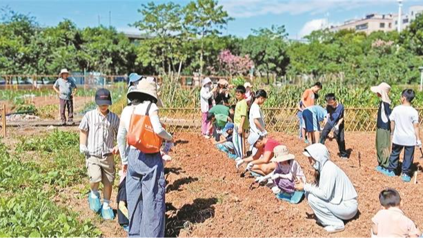 新湖街道幸福菜园开展亲子活动