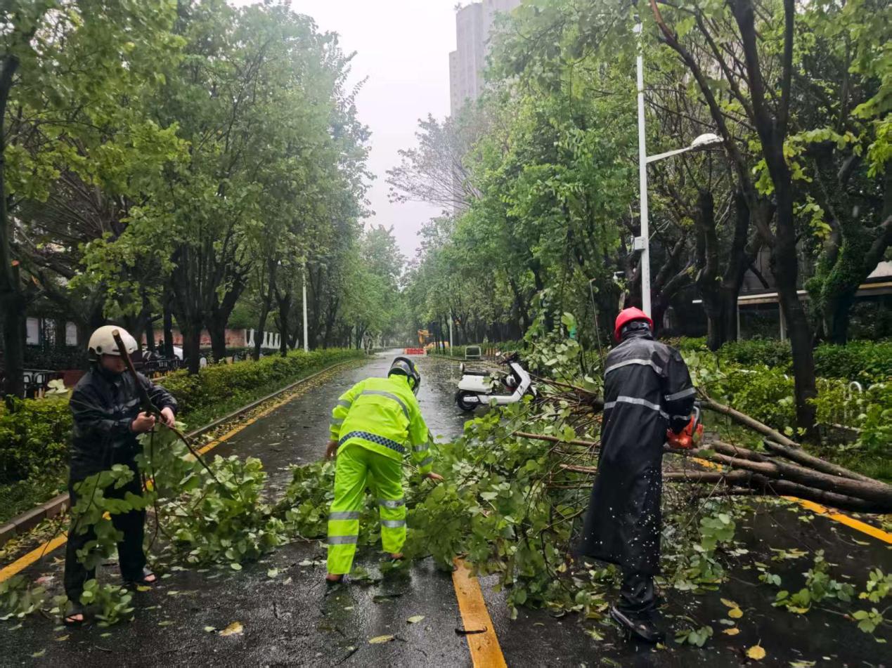 全力应对台风“桦加沙”，沙河街道光华街社区快速排除险情保障道路畅通