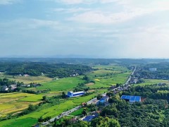 湖南鼎城：组建专业森林消防队伍 守护百万亩森林
