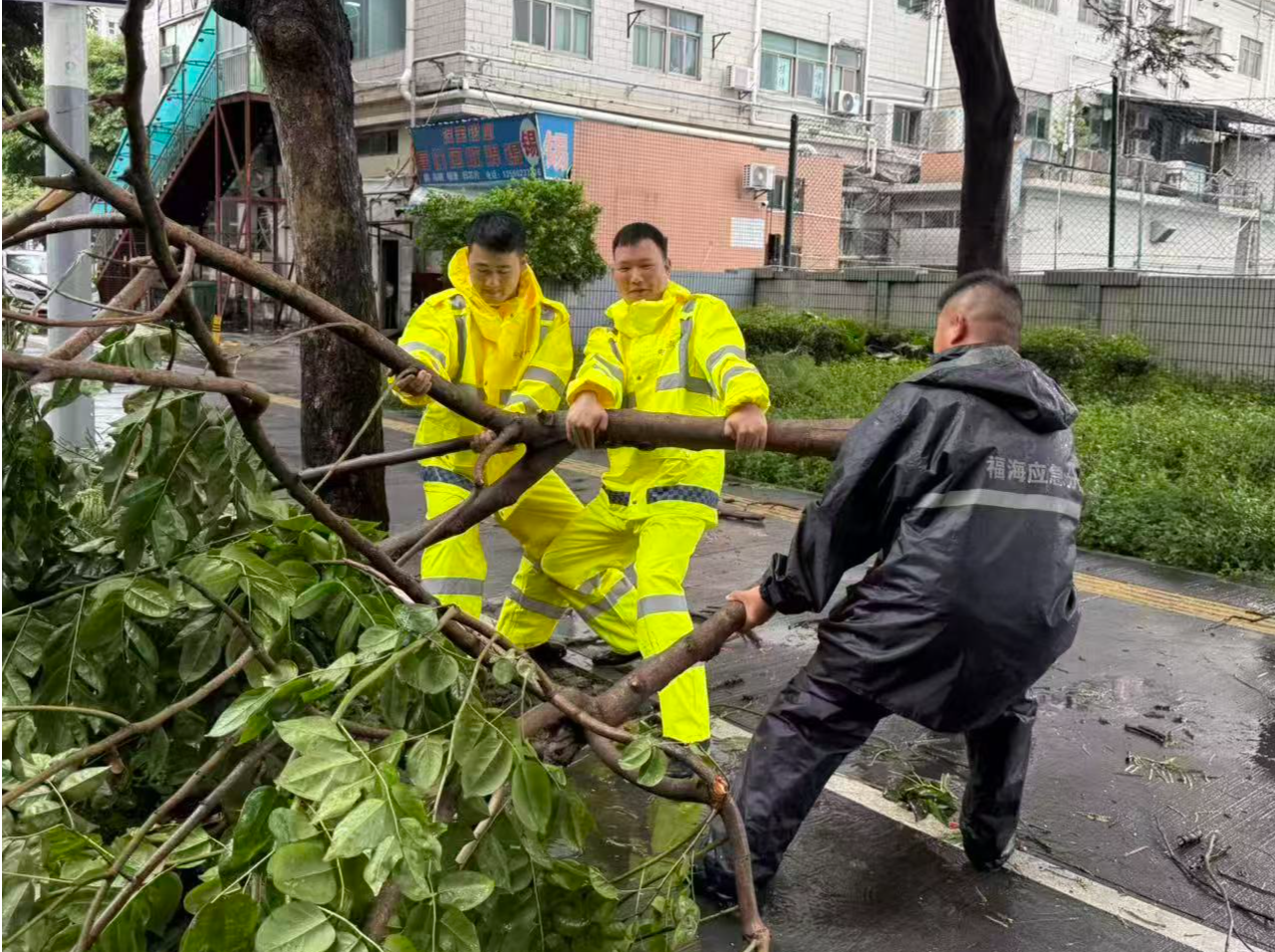 逆风而行！福海民兵应急分队助力街道恢复正常秩序