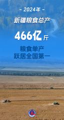 （图表·海报）新疆维吾尔自治区成立70周年丨天山焕新颜 丝路著华章（1）