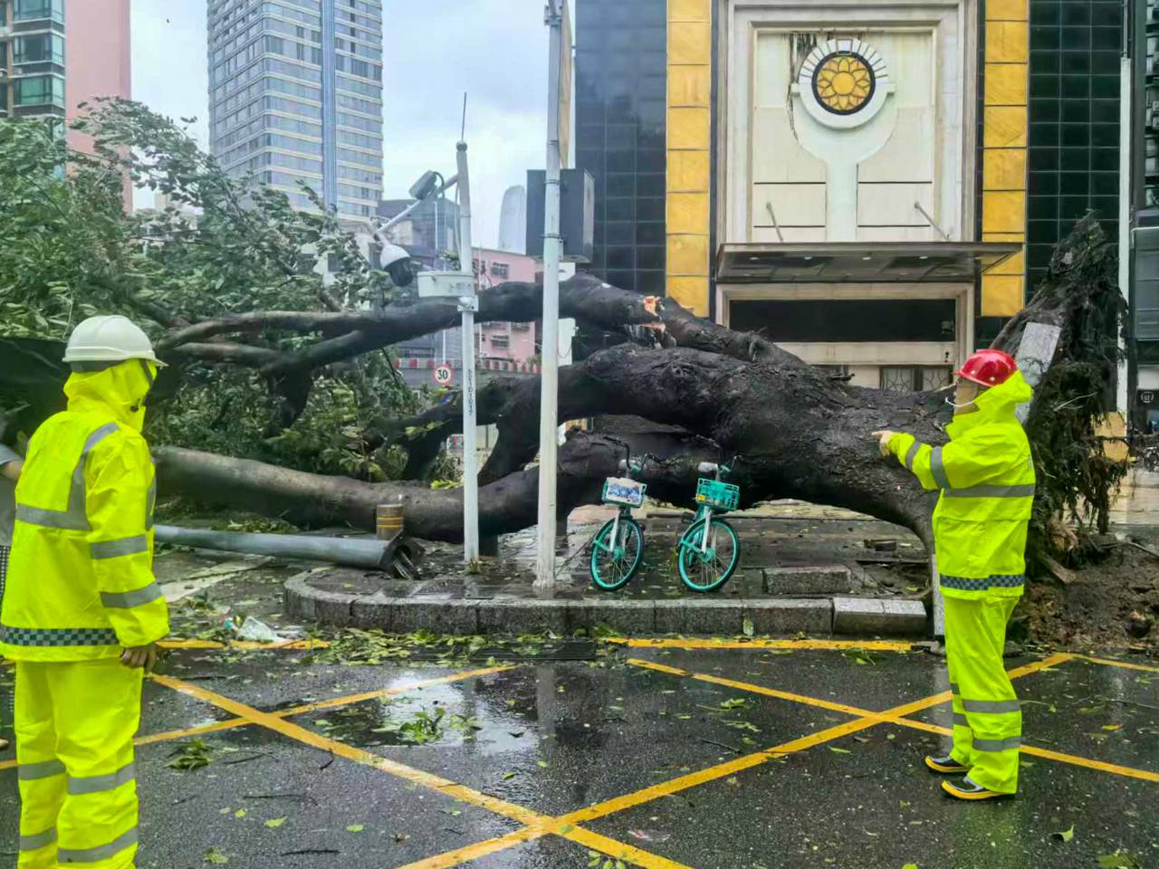 满城风雨，总有人护您周全——写在超强台风“桦加沙”过境深圳之后