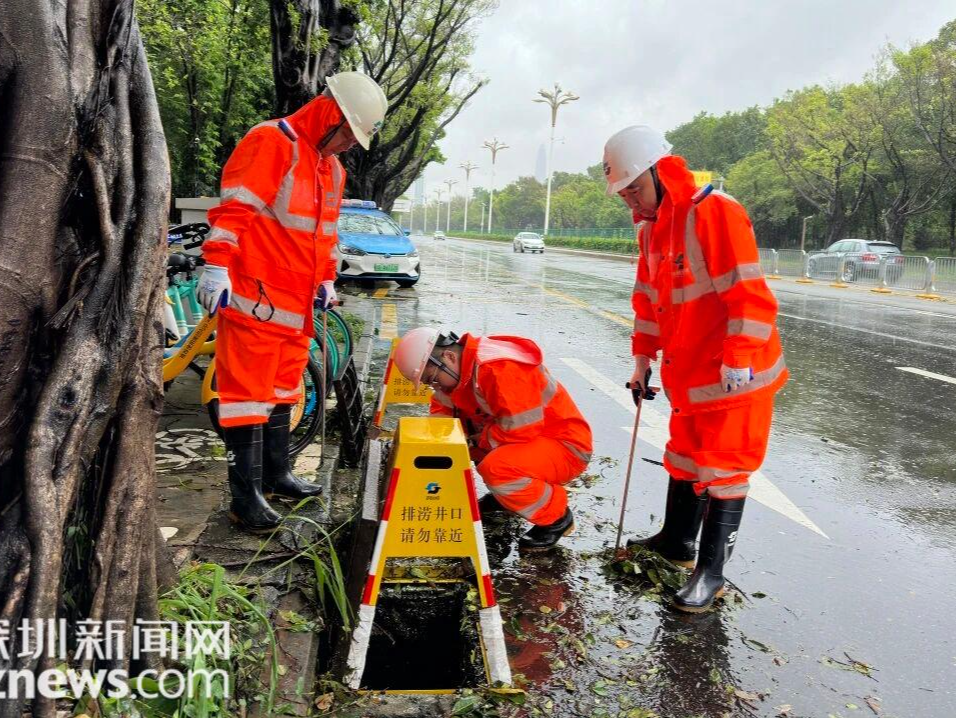 福田区多举措应对超强台风“桦加沙”，筑牢群众安全防线