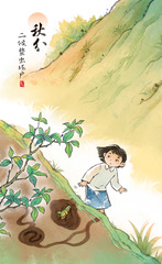 （图表·插画）图说节令·秋分丨昼夜平分下的自然交响曲（4）