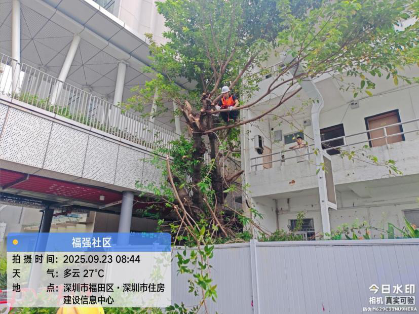 风雨中的坚守——福强社区织密“防护网”迎战“桦加沙”