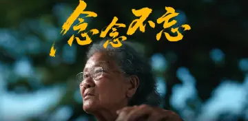 寻找南阳“三队长”