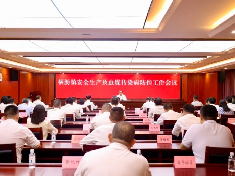 严抓细管保假期平安，横沥部署安全生产与虫媒传染病防控工作