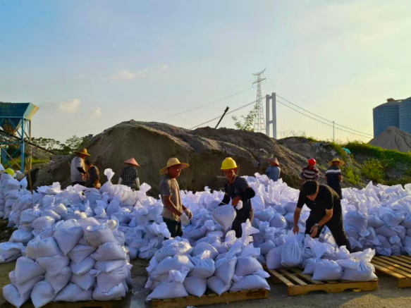 抗击“桦加沙”｜严防海水倒灌，东莞沿海镇街筑牢防汛安全堤坝