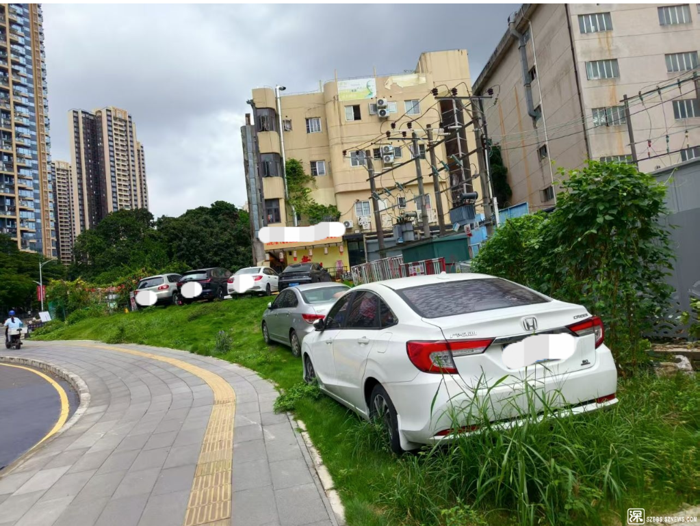 深圳龙岗一绿化带有车辆长期违停？街道办回应：已开展清理工作