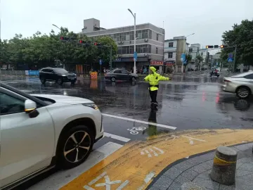 深圳交警:因避险临时停车不处罚