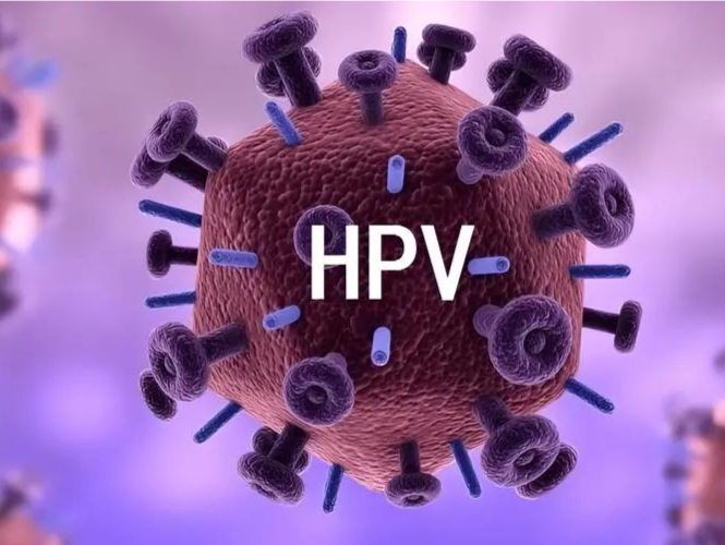 HPV疫苗即将纳入国家免疫规划 这些知识点要了解→