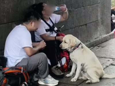 盲人夫妻雨中带导盲犬爬泰山引争议，最新：导盲犬确认收回！
