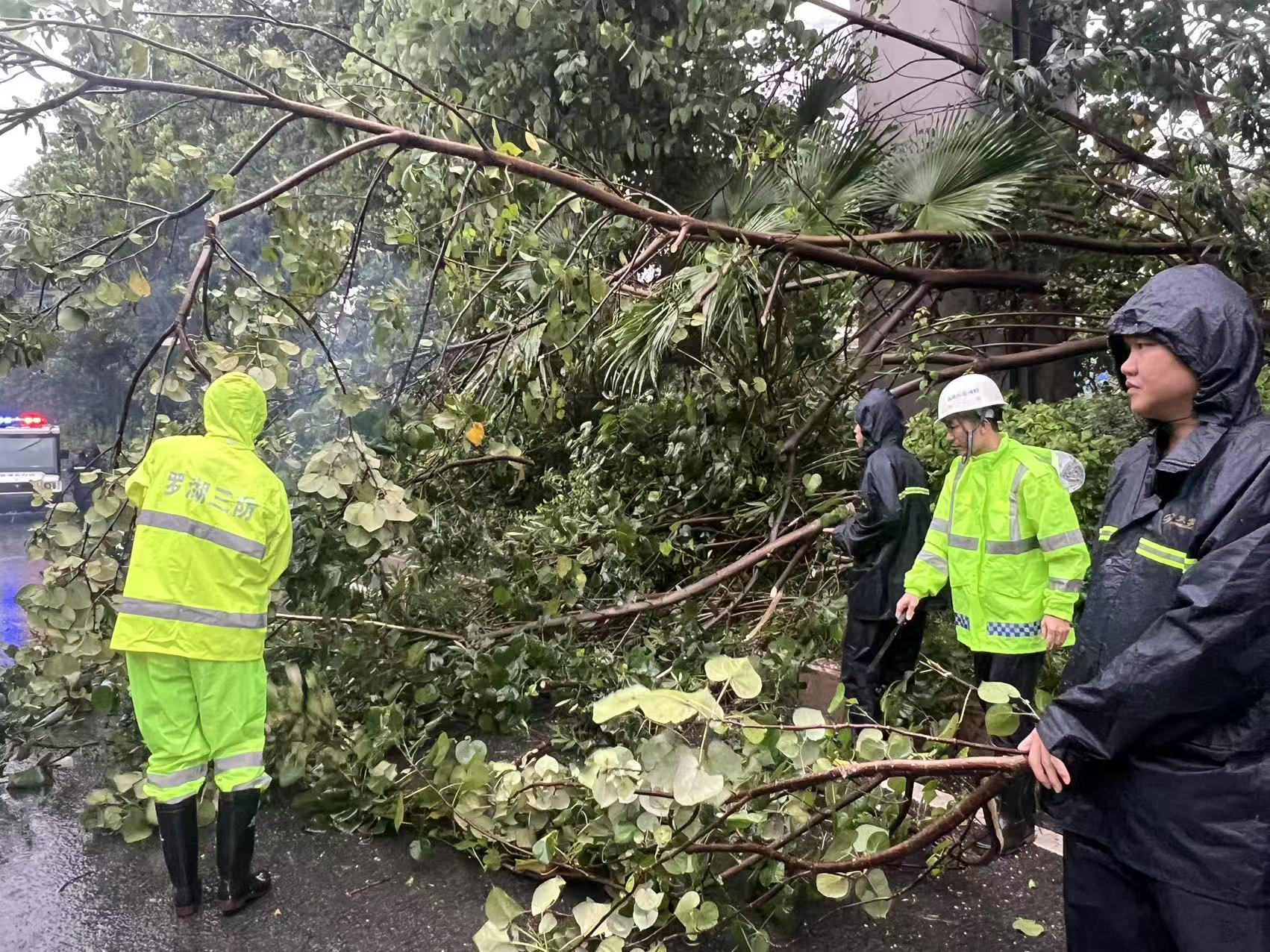 迎战台风“桦加沙”！草埔东社区风雨中守护居民平安