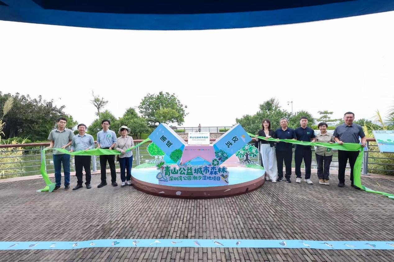 “山海连城”再添生态地标，深圳湾潮汐湿地修复开放