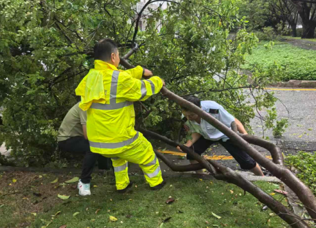 台风过后，深巴桂湾车队“加速度”恢复运营保畅通