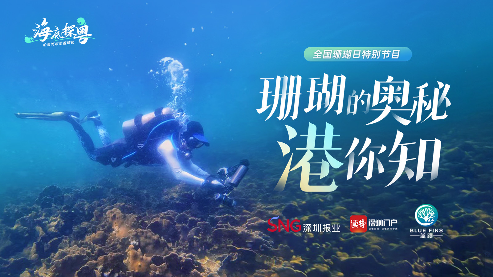 预告 | 全国珊瑚日，一起潜入香港“珊瑚海”