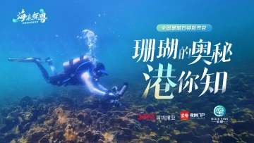预告 | 全国珊瑚日，一起潜入香港“珊瑚海”