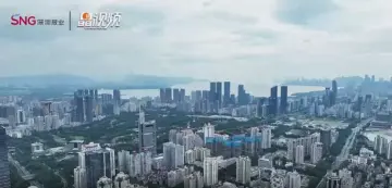 晶视频丨“桦加沙”前夕，航拍镜头下的深圳