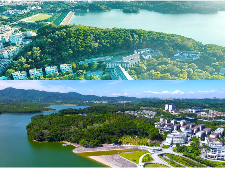 南山区首个森林社区示范点建成  绘就“推窗见绿”生态新图景