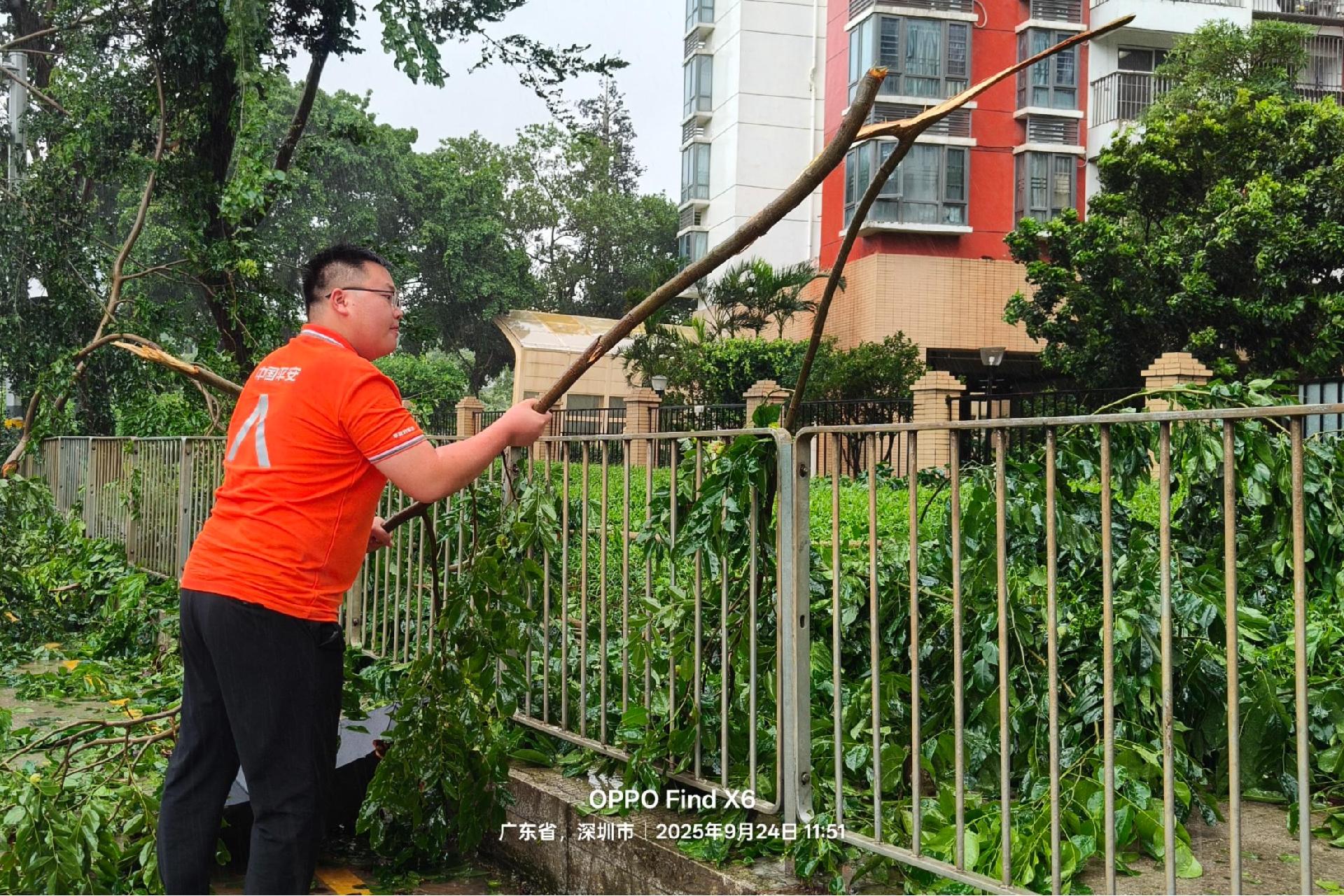 28分钟极速赔付，平安产险深圳分公司完成“桦加沙”首笔家财险赔付