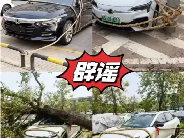 为防台风车辆“五花大绑”？图都是假的！