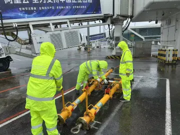 评论丨台风过后更见“绣花功夫”