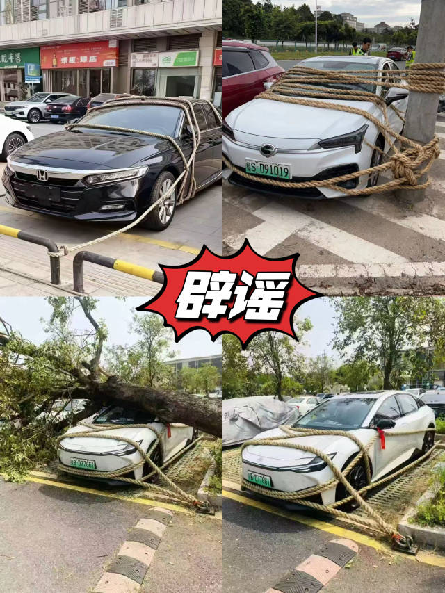 网络截图