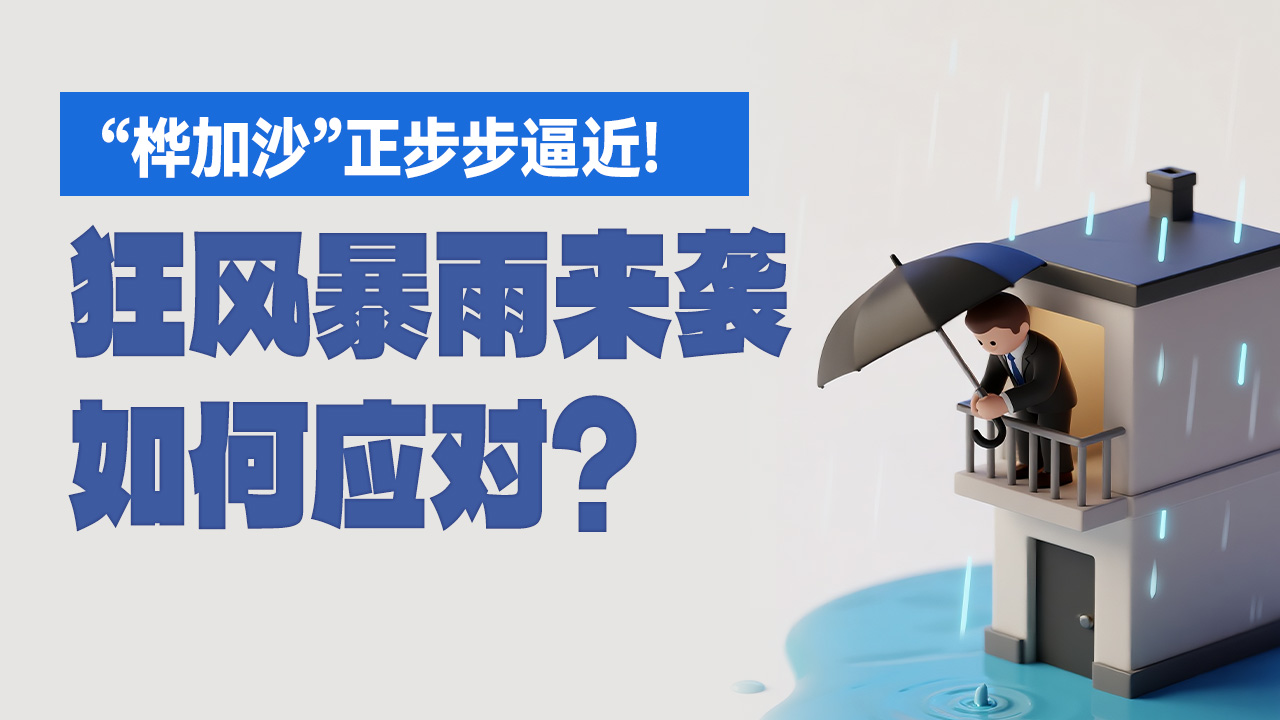 “桦加沙”正步步逼近！狂风暴雨来袭，如何应对？