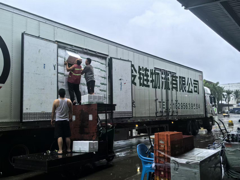 深圳海吉星全面恢复正常运营：日均6000多吨生鲜农产品，持续稳定供应深港两地