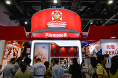 探访2025年服贸会主题展（2）
