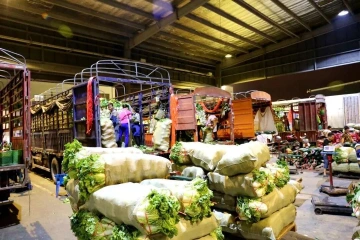 台风未到,7000吨蔬菜今晨已到货!深圳人的“菜篮子”“米袋子”管足管够