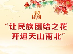 学习新语｜“让民族团结之花开遍天山南北”
