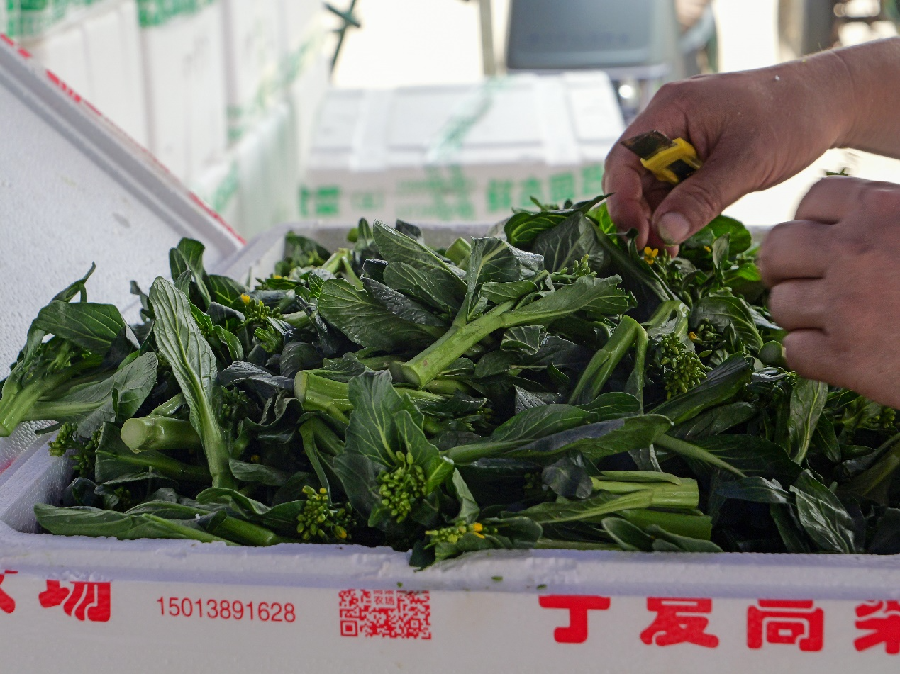 深圳供应链体系完善高效，肉菜粮油绝对管够！市商务局：市民无需盲目跟风囤货