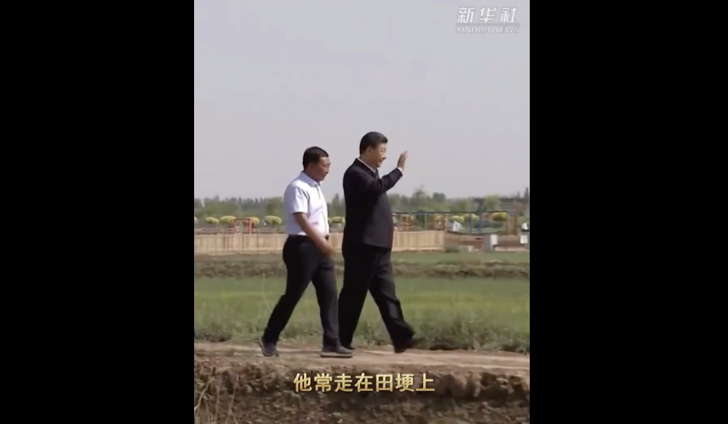 微视频｜习近平的乡土情
