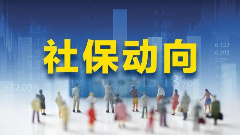 收益率达8.1%!2024年全国社保基金取得较好投资业绩