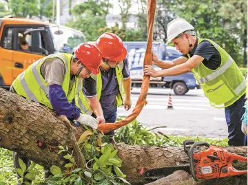 全市2000多万市民支持,深圳众志成城同心共战“桦加沙”