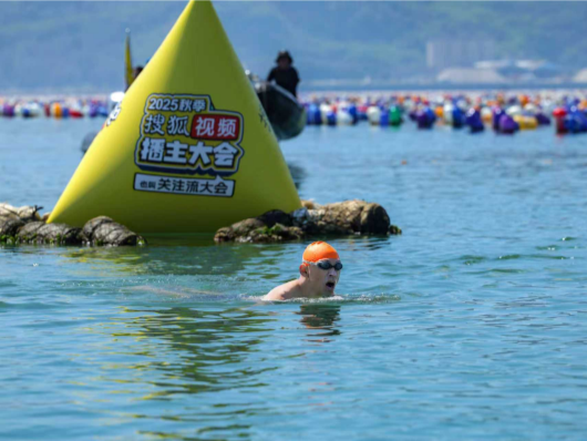 张朝阳“解答”直播8.69公里横渡：“内容+事件”新模式是当下“传播密码”