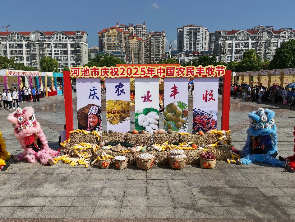 2025年河池市庆祝中国农民丰收节活动举行