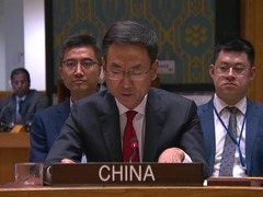 中方强调解决叙利亚化武问题应充分考虑反恐因素 
