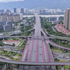 三角梅绽放扮靓城市道路