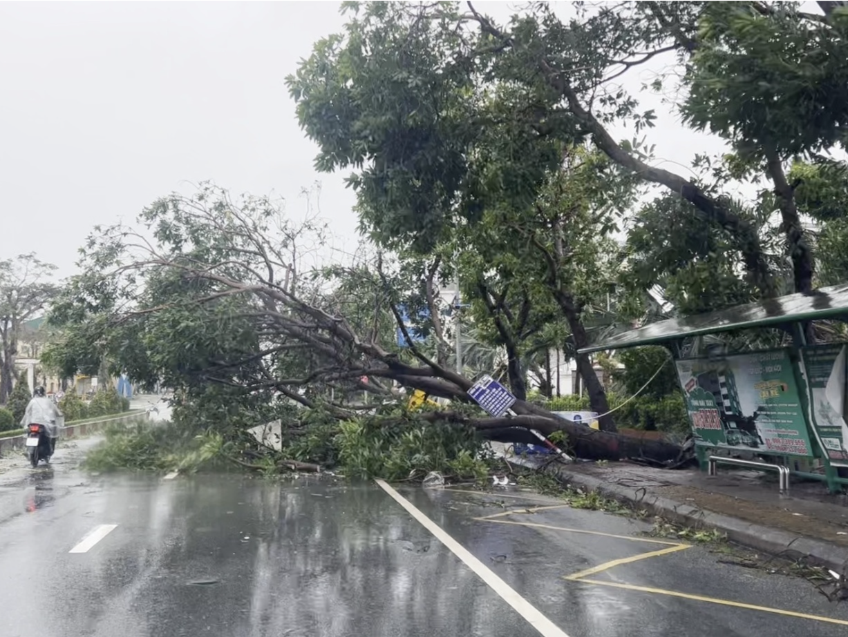 “博罗依”登陆越南后已造成19人死亡21人失踪