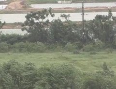 直击现场！风声呼啸 超强台风“桦加沙”登陆倒计时