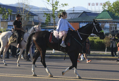 以马为生，以梦为马——新疆驯马师的十年“驭”梦路（14）