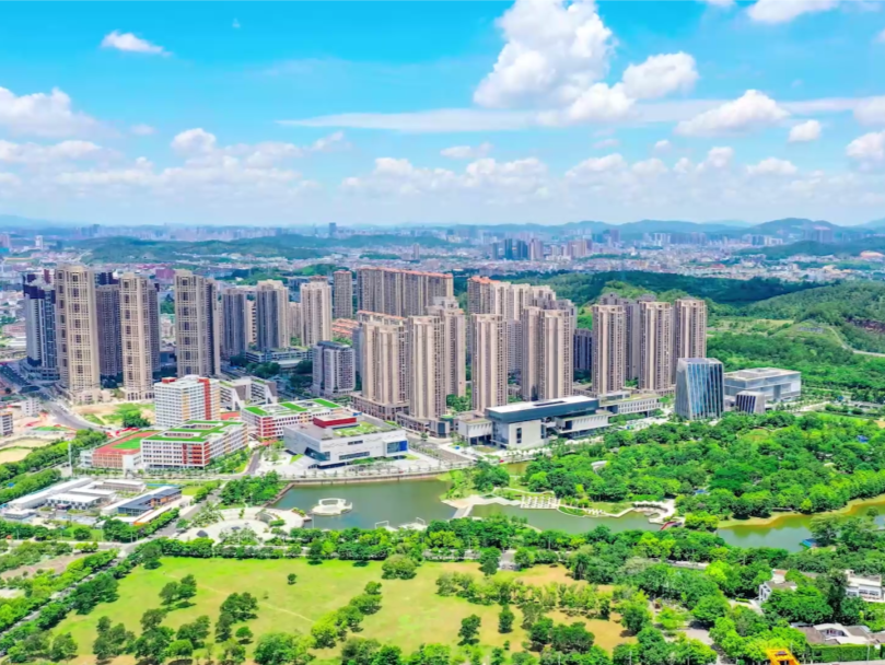 红色明珠串珠成链 点燃坪山奋斗之火