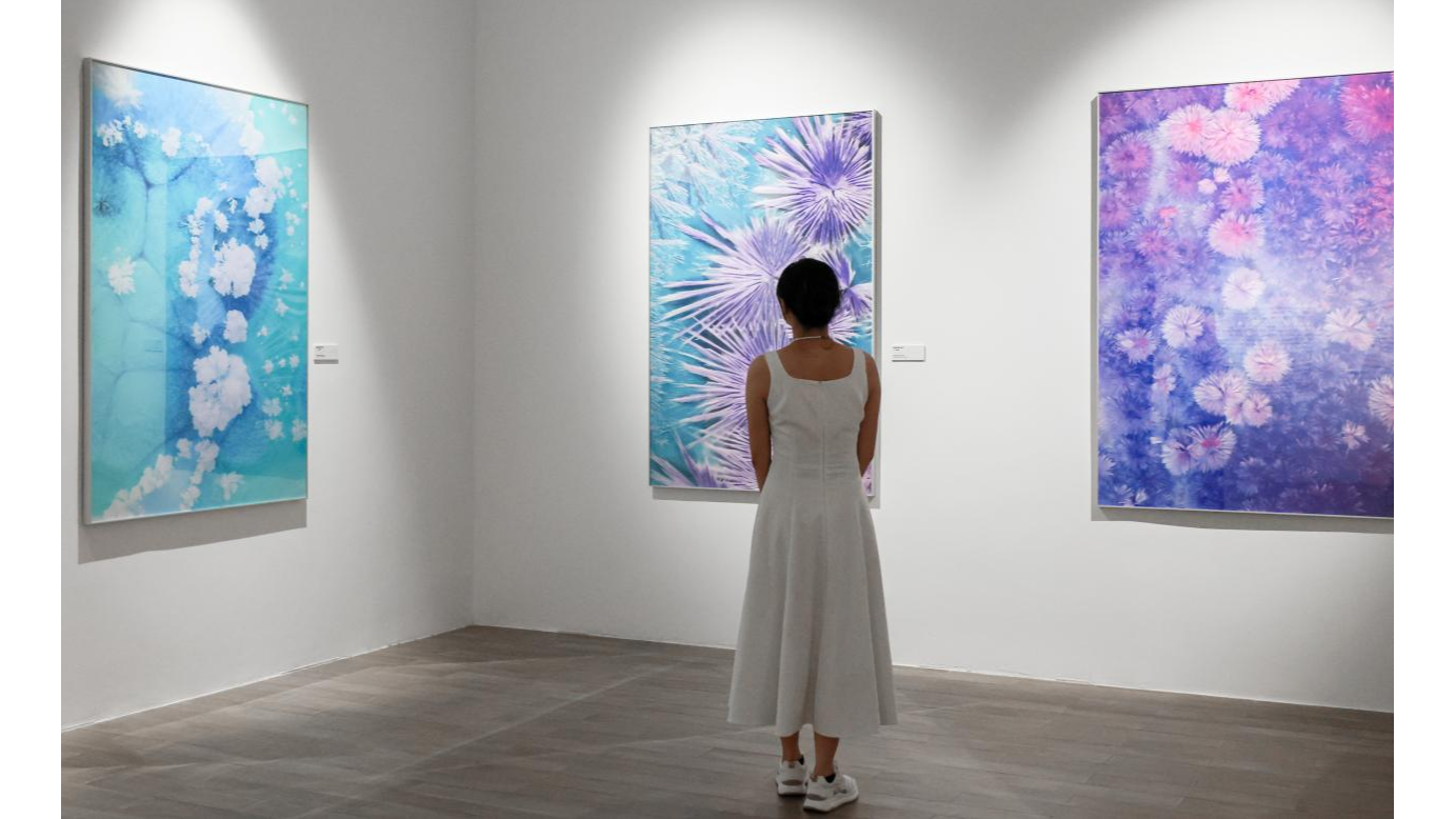 《未被书写的色彩——科学艺术展》在光明文化艺术中心展出