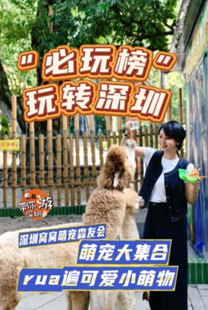 这就是深圳丨深圳窝窝萌宠森友会：萌宠大集合！rua遍可爱小萌物