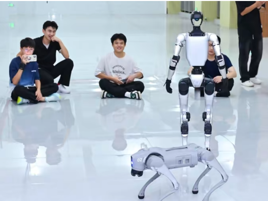 参训人次突破11万，这个夏令营变身“成长驿站”点亮孩子暑期生活