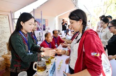 中外游客打卡石家庄 沉浸式感受城市风貌（3）