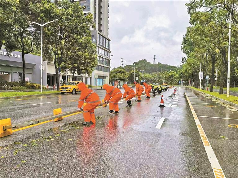 镜头下的深情守护